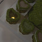 Bento Box-5 Cupcakes & 1 Heart Shaped Cake (6in)
